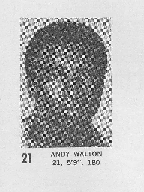 Andy Walton