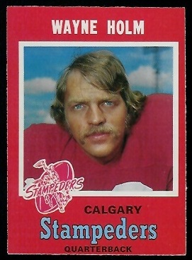 Wayne Holm